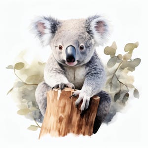 Pode incluir: Ilustração em aquarela de um coala sentado em um tronco de árvore. O coala tem pelo cinza, orelhas grandes e um nariz preto. O fundo apresenta suaves aguadas de aquarela em verde e marrom.