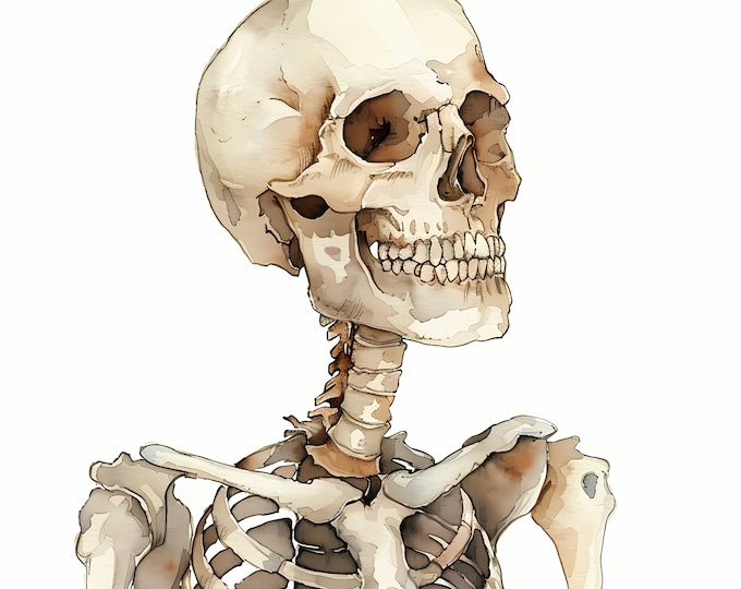 Skeleton Clipart, Halloween Skeleton Images, 10 Watercolor Clip Art, Printable JPGs, Instant Download, Commercial Use, Paper craft