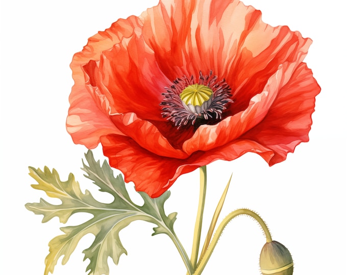 Red Poppy Clipart, Poppy Flowers Images, 10 Watercolor Clip Art, Printable JPGs, Instant Download, Commercial Use, Paper craft