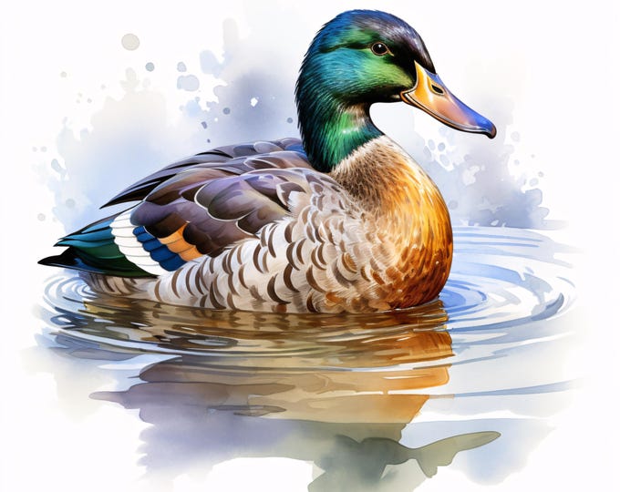 Mallard Duck Watercolor Clipart: 10 Printable Bird JPGs (Commercial Use, Instant Download)