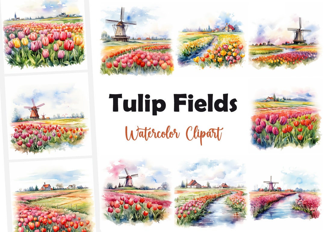 Tulip Field Clipart, Holland Tulips Images,