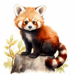 Clipart de panda vermelho, imagens de panda vermelho bebê, 10 clipart de aquarela, JPGs para impressão, download instantâneo, uso comercial, artesanato em papel