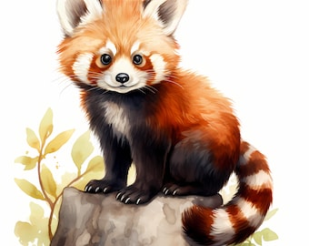 Watercolor Red Panda Clipart: 10 JPG Images, Commercial Use (Digital Download)