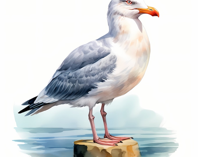 Seagull Clipart, Sea Gull Images, 10 Watercolor Clip Art, Printable JPGs, Instant Download, Commercial Use, Paper craft