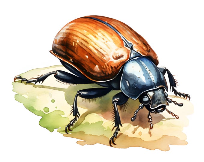 Dung Beetle Clipart, Vivid Bugs Images, 10 Watercolor Clip Art, Printable JPGs, Instant Download, Commercial Use, Paper craft