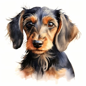 Dackel Clipart, Welpe Hund Bilder, 10 Aquarell Clip Art, druckbare JPGs, Sofort Download, kommerzielle Nutzung, Papiermodell