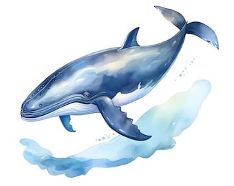 Clipart de baleia em aquarela: Imagens de baleia azul (download digital em JPG)