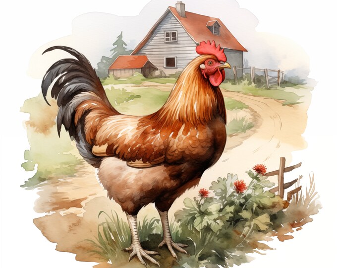 Chicken Clipart, Farm Chickens Images, 10 Watercolor Clip Art, Printable JPGs, Instant Download, Commercial Use, Paper craft