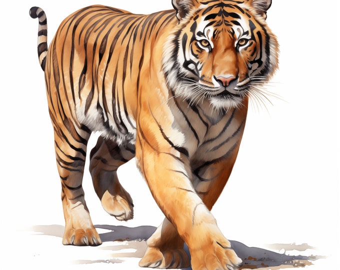 Tiger Clipart, Bengal Tiger Images, 10 Watercolor Clip Art, Printable JPGs, Instant Download, Commercial Use, Paper craft
