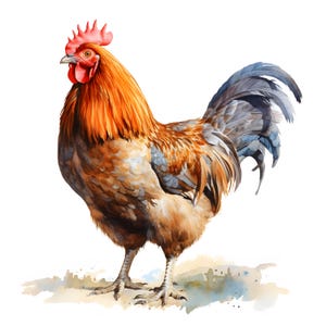 Clipart poulet fermier, poulet à la ferme, 10 images clipart aquarelle, fichiers JPG imprimables, téléchargement immédiat, usage commercial, créations en papier