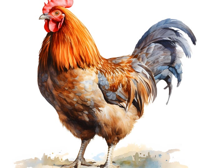 Farm Chicken Clipart, Chicken On Farm Images, 10 Watercolor Clip Art, Printable JPGs, Instant Download, Commercial Use, Paper craft