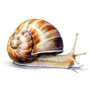 Schnecken Clipart, Garten Schnecke Clip Art, 10 Clip Art, druckbare JPGs, Sofort Download, kommerzielle Nutzung, Papiermodell