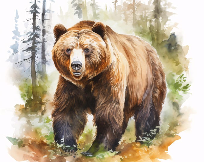 Watercolor Brown Bear Clipart: Forest Animal Art, Commercial Use (JPGs, Instant Download