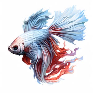 Betta Fisch Clipart, Ozean Fische Bilder, 10 Aquarell Clip Art, druckbare JPGs, Sofort Download, kommerzielle Nutzung, Papiermodell