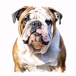 English Bulldog Clipart, Cute Pet Dog Images, 10 Watercolor Clip Art, Printable JPGs, Instant Download, Commercial Use, Paper craft