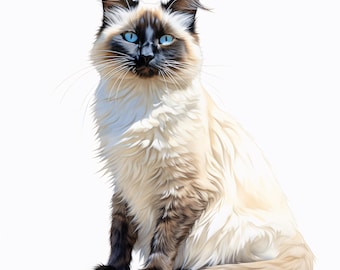 Watercolor Ragdoll Cat Clipart: Blue-Eyed Cat JPG Images (Commercial Use, Instant Download)