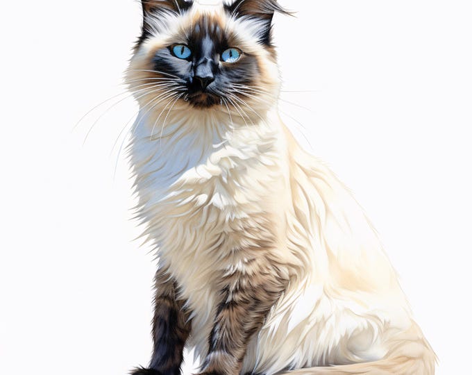 Watercolor Ragdoll Cat Clipart: Blue-Eyed Cat JPG Images (Commercial Use, Instant Download)