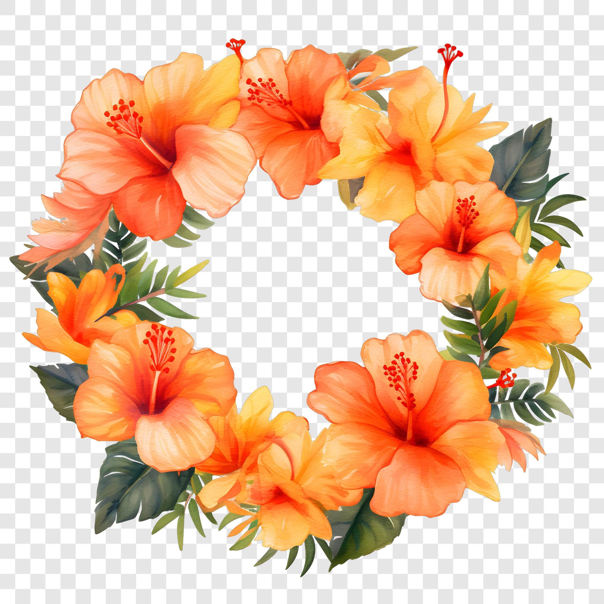 10 PNG Hibiscus Wreath Clipart, Tropical Floral Frame Images ...