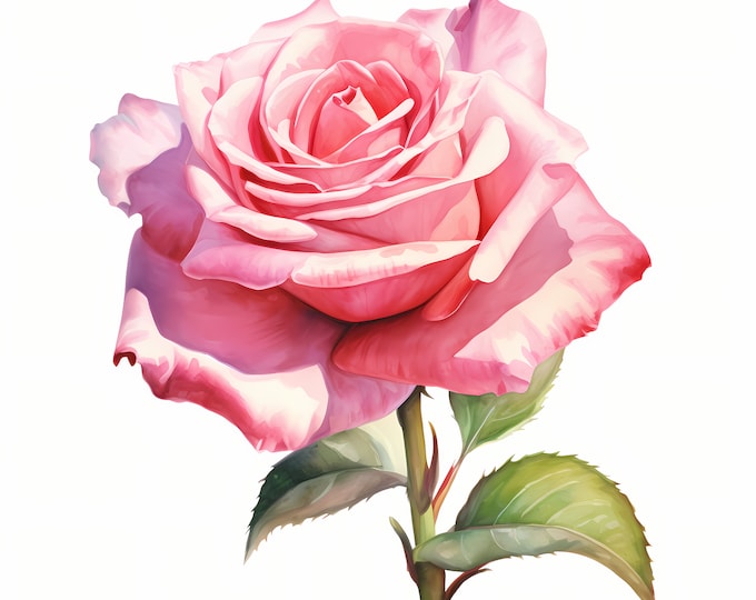 Pink Rose Clipart, Rose Stem Images, 10 Watercolor Clip Art, Printable JPGs, Instant Download, Commercial Use, Paper craft