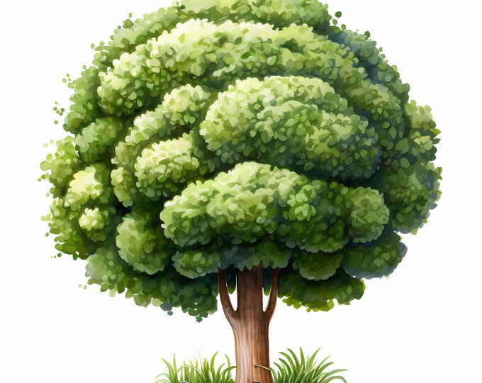 Topiary Tree Clipart, Minimalistic Trees Images, 10 Watercolor Clip Art, Printable JPGs, Instant Download, Commercial Use, Paper craft
