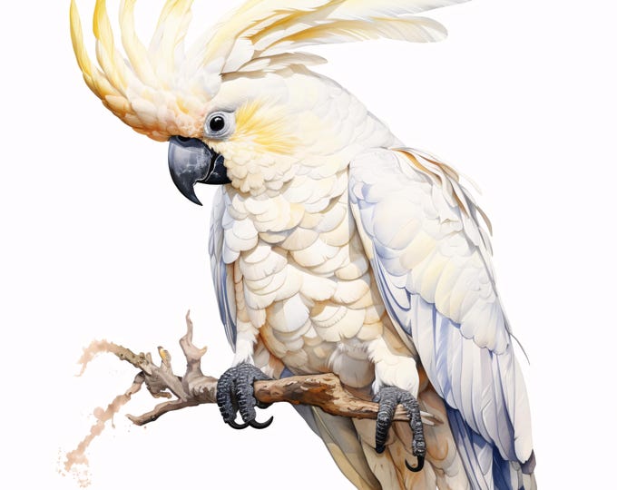 Watercolor Cockatoo Clipart: Tropical Parrot Art, Printable JPGs (Commercial Use