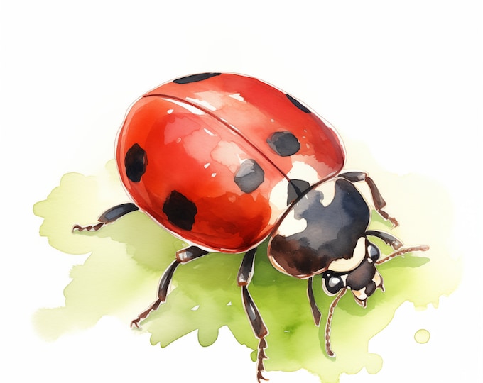 Ladybug Clipart, Lady Bug Images, 10 Watercolor Clip Art, Printable JPGs, Instant Download, Commercial Use, Paper craft