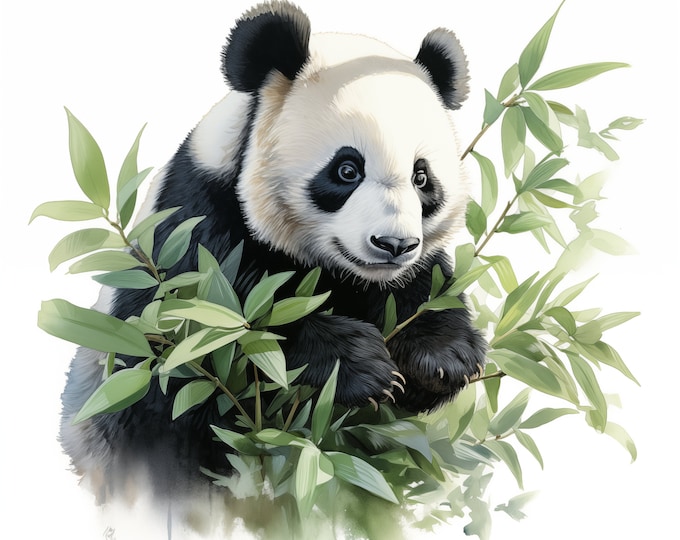 Panda Clipart, Panda Images, 10 Watercolor Clip Art, Printable JPGs, Instant Download, Commercial Use, Paper craft