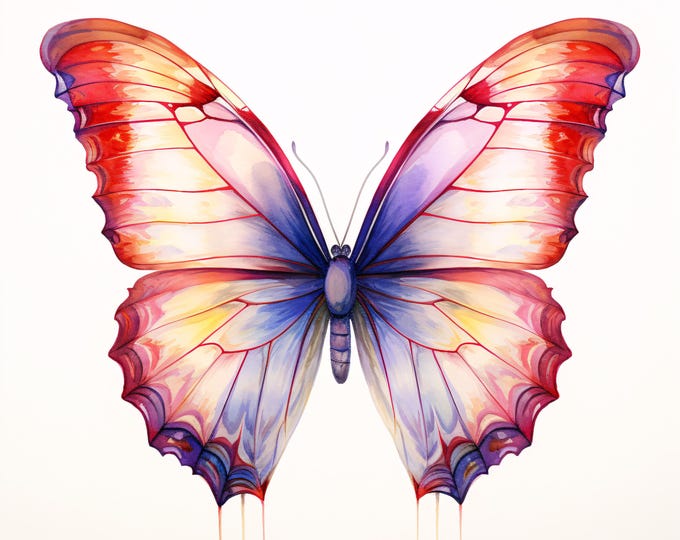 Watercolor Butterfly Clipart: Colorful Insect Art, Printable JPGs (Commercial Use, Instant Download)