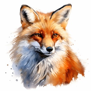 Clipart renard roux, renard en hiver, 10 images clipart aquarelle, fichiers JPG imprimables, téléchargement immédiat, usage commercial, créations en papier