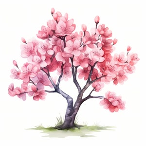 Imágenes de árboles de flor de durazno, imágenes de cerezos, 10 imágenes prediseñadas de acuarela, archivos JPG imprimibles, descarga instantánea, uso comercial, manualidades de papel