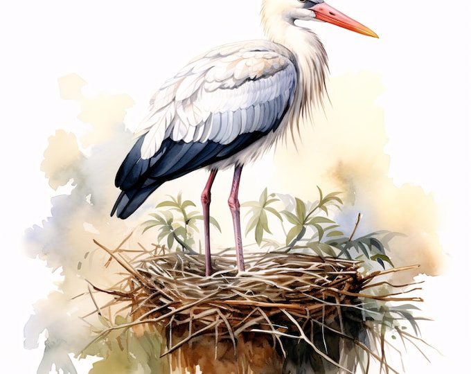 Stork Clipart, White Stork Nest Images, 10 Watercolor Clip Art, Printable JPGs, Instant Download, Commercial Use, Paper craft