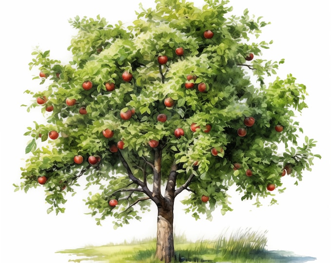 Apple Tree Clipart, Tree in Nature Images, 10 Watercolor Clip Art, Printable JPGs, Instant Download, Commercial Use, Paper craft