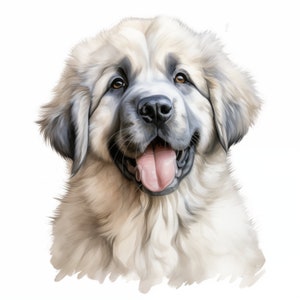 Clipart Mâtin des Pyrénées, images de chiot, 10 images clipart aquarelle, fichiers JPG imprimables, téléchargement immédiat, usage commercial, créations en papier