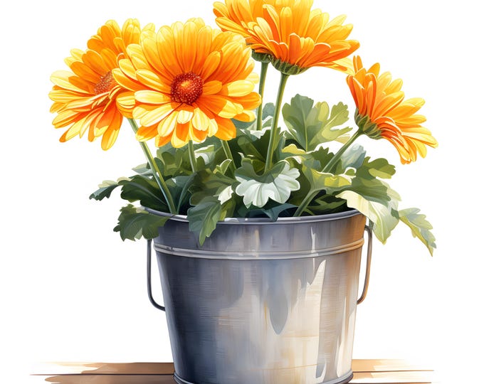 Flowers In Bucket Clipart, Floral Bucket Images, 10 Watercolor Clip Art, Printable JPGs, Instant Download, Commercial Use, Paper craft
