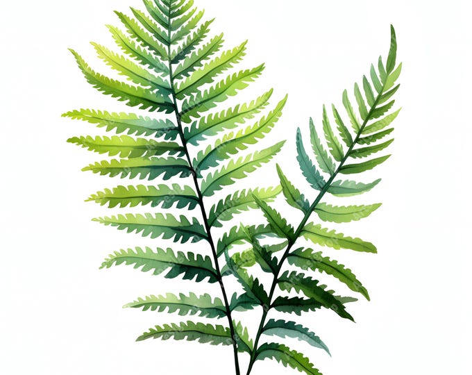 Forest Fern Clipart, Fern Leaves Images, 10 Watercolor Clip Art, Printable JPGs, Instant Download, Commercial Use, Paper craft