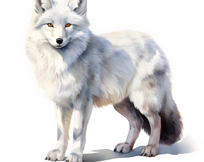 Arctic Fox Clipart, Winter Foxes Images, 10 Watercolor Clip Art, Printable JPGs, Instant Download, Commercial Use, Paper craft