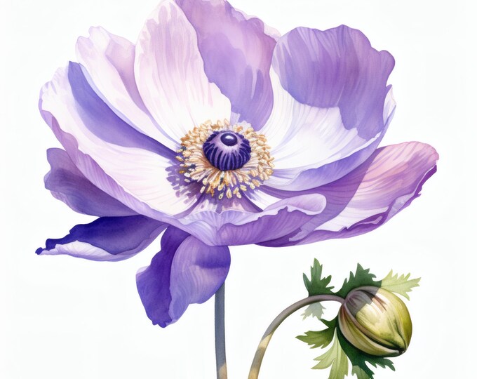 Anemone Flower Clipart, Soft Floral Flowers Images, 10 Watercolor Clip Art, Printable JPGs, Instant Download, Commercial Use