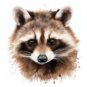 Raccoon Clipart, Forest Raccoon Images, 10 Watercolor Clip Art, Printable JPGs, Instant Download, Commercial Use, Paper craft
