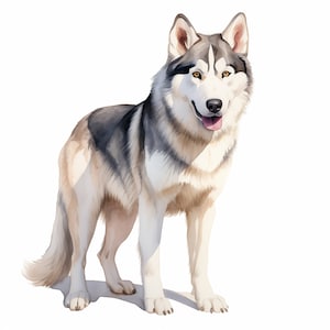 Husky Dog Clipart, Siberian Husky Dog Images, 10 Watercolor Clip Art, Printable JPGs, Instant Download, Commercial Use, Paper craft