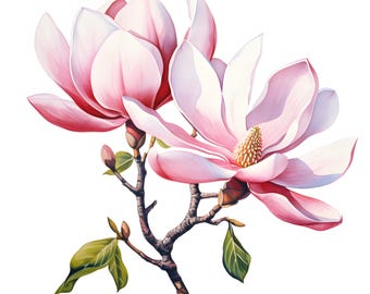 Clipart di magnolia ad acquerello: illustrazioni di rami floreali (download digitale JPG)