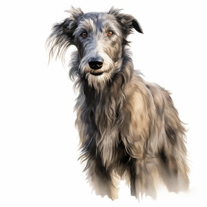Scottish Deerhound Watercolor Clipart: Dog Breed Art (JPGs, Commercial Use)