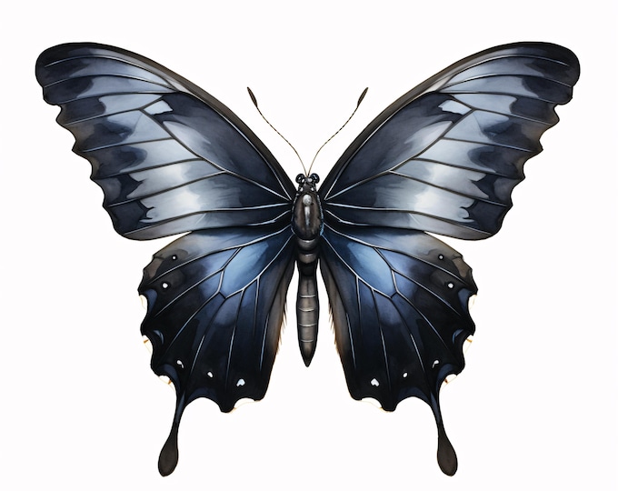 Black Butterfly Clipart, Dark Winged Insect Images, 10 Watercolor Clip Art, Printable JPGs, Instant Download, Commercial Use, Paper Craft