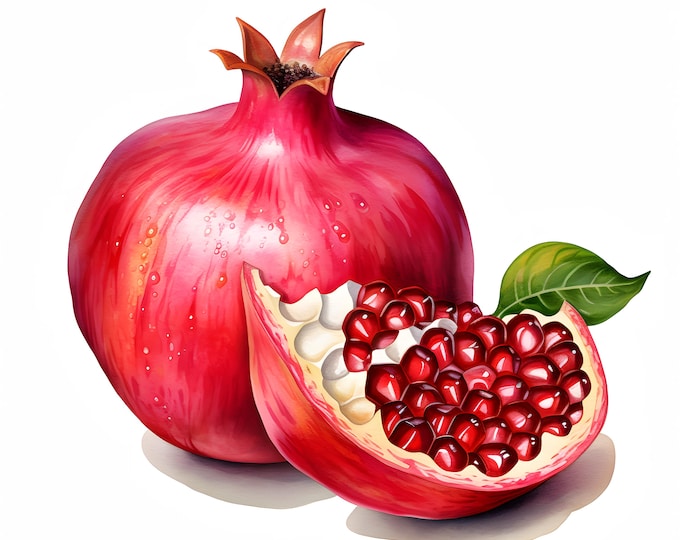 Pomegranate Clipart, Red Tropical Fruit Images, 10 Watercolor Clip Art, Printable JPGs, Instant Download, Commercial Use, Paper craft