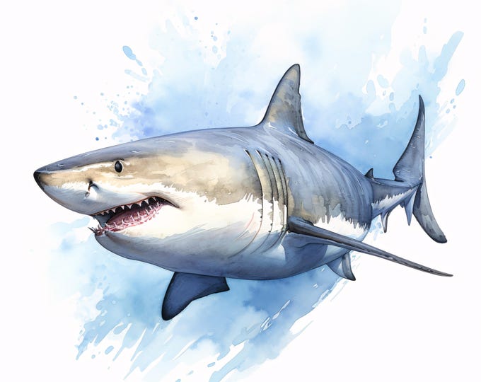Great White Shark Clipart, Ocean Animal Images, 10 Watercolor Clip Art, Printable JPGs, Instant Download, Commercial Use, Paper craft
