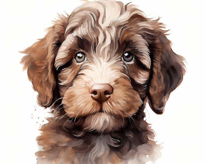 Lagotto Romagnolo Clipart, Puppy Dog Images, 10 Watercolor Clip Art, Printable JPGs, Instant Download, Commercial Use, Paper craft
