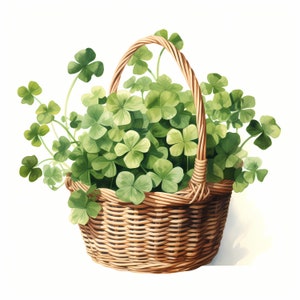 Clipart Shamrock Basket, Obrazy czterolistnej koniczyny, 10 akwarelowych klipartów, Wydrukowane pliki JPG, Natychmiastowe pobieranie, Wykorzystanie komercyjne, Rękodzieło papierowe