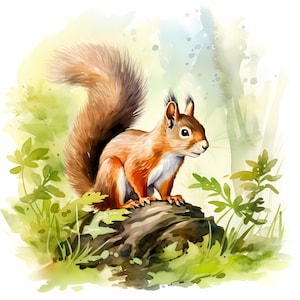 Clipart écureuil, écureuil dans la forêt, 10 images clipart aquarelle, fichiers JPG imprimables, téléchargement immédiat, usage commercial, créations en papier