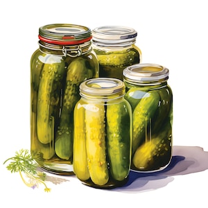 Clipart di barattoli di sottaceti, immagini di barattoli di sottaceti, 10 clipart ad acquerello, JPG stampabili, download immediato, uso commerciale, artigianato di carta