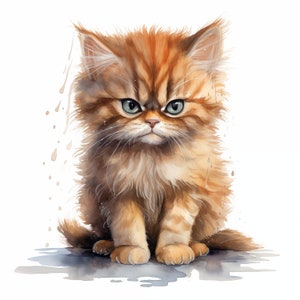 Imágenes prediseñadas de gatito gruñón, imágenes de gatos tristes, 10 imágenes prediseñadas de acuarela, archivos JPG imprimibles, descarga instantánea, uso comercial, manualidades de papel