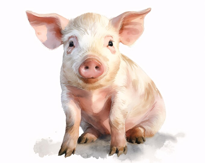 Watercolor Pig Clipart: Farm Animal JPG Images (Commercial Use, Instant Download)